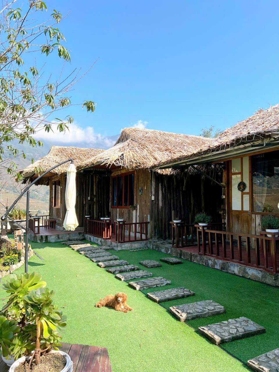 Sapa Eco Hugo Bed & Breakfast Exterior photo